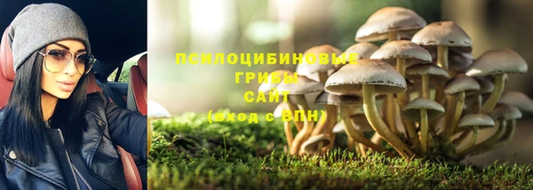гашик Киреевск