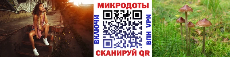 Псилоцибиновые грибы мицелий  Купить закладки  Барыш 